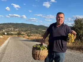 Emet ilçesi Sülye köyünde bağ bozumu heyecanı
