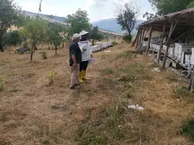 Emet’te arılı kovan tespit çalışması
