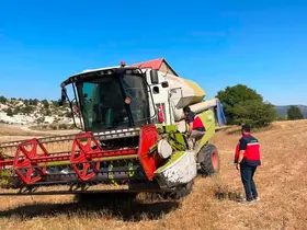 Emet’te çörek otu hasadı yerinde incelendi
