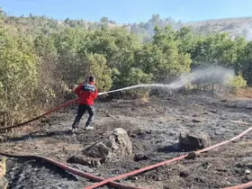 Emet’te dağlık alanda orman yangını
