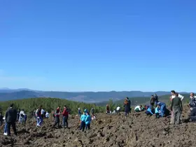 Emet’te zeytin fidanları toprakla buluştu
