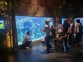 Engelsiz Hobi Atölyesi öğrencileri su altı dünyasını inceledi
