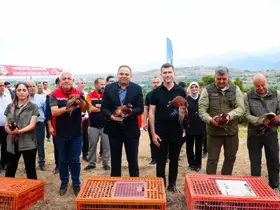 Erbaa Belediyesi’nden keneyle mücadeleye halkalı sülün ve kekliklerle destek
