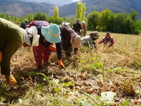 Erzincan’a 169,6 milyon liralık tarımsal hibe desteği
