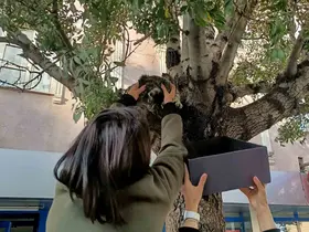 Erzincan’da ağaca çıkan yavru kedi yaş mamayla ikna edilerek kurtarıldı
