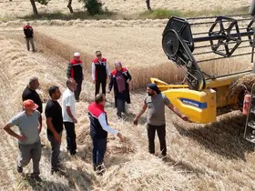 Erzincan’da buğday hasadı sürüyor, biçerdöverler denetlendi
