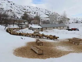 Erzincan’da çiftçilere kar ve tipi uyarısı
