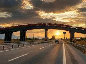 Erzincan’da hayvan sürülerine özel üst geçit
