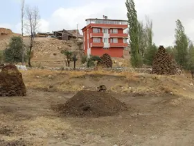 Erzincan’da kışlık tezek hazırlığı
