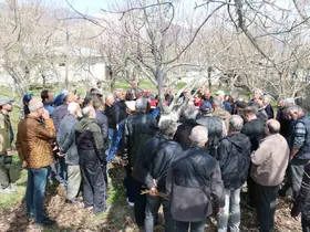 Erzincan’da meyve ağaçlarında budama eğitimi düzenlenecek
