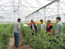 Erzincan’da seracılık faaliyetleri yerinde incelendi
