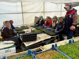 Erzincan’da seralarda fide denetimi sürüyor
