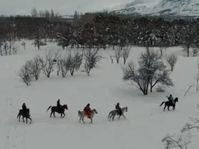 Erzincan’da sınırları zorlayan kış macerası: Atlı snowboard safarisi
