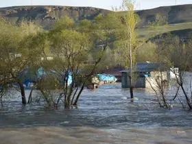 Erzincan’da tarım arazileri ve hayvan barınakları için uyarı
