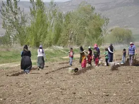 Erzincan’da tarımın görünmeyen kahramanları: Mevsimlik işçiler
