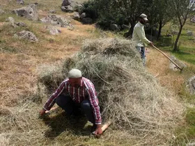 Erzincan’da vatandaşların kış hazırlığı
