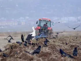 Erzincan’da zirai don uyarısı
