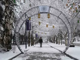 Erzurum’da kar kenti yeniden beyaza bürüdü
