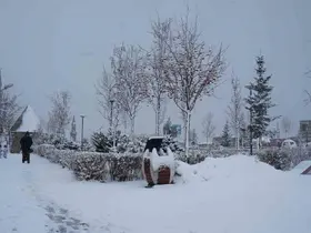 Erzurum’da kar yağışı etkili oluyor
