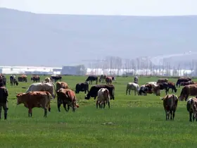 Erzurum’da kırsal kalkınmaya dev destek: 329 Projeye 171 Milyon TL hibe
