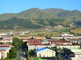 Erzurum’da net göç kaybı azaldı

