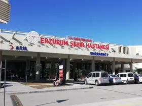 Erzurum’da ölümlerin en büyük nedeni kalp ve damar hastalıkları
