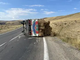 Erzurum’da ot yüklü kamyonet devrildi: 2 yaralı
