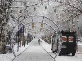 Erzurum’da soğuk havanın etkisiyle ağaçlar kırağı tuttu
