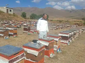 Erzurum’un Çat ilçesinde arıcıların ayı nöbeti
