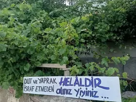 Eski belediye başkanından örnek davranış
