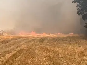 Eskipazar’da anız yangını korkuttu
