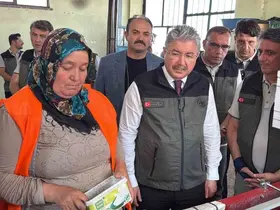 Eskişehir’den yangın bölgelerine gönderilen milyonlarca fidan ’nefes’ olacak
