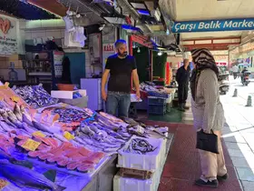 Eskişehirli balıkçıdan palamut müjdesi: "Bu sene bolluk var"
