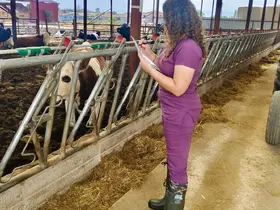 Evciler’de hayvancılık işletmelerine yönelik kapasite incelemesi
