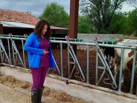 Evciler’de işletmelerin kapasite ve üretim şartları incelendi
