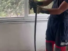 Eve giren yılan pencere arasına sıkıştı
