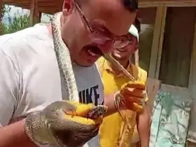 Eve giren yılanı yakalayıp boynuna sardı
