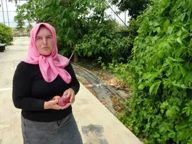 Evin çatısında tohumla başlayan yolculuk, tropikal meyve müzesine dönüştü
