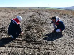 Fasulye hasadında saha kontrolleri yapıldı
