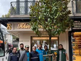 Fatih’te ‘dükkanın önünü kapatıyor’ denilerek kesilen ağacın yerine yenisi dikildi
