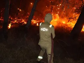 Fethiye’deki orman yangını kontrol altına alındı
