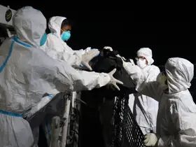 Filipinler’deki feribot yangınında ölü sayısı 76’ya yükseldi

