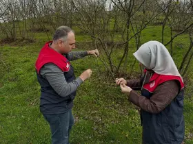 Fındık üreticilerine "kozalak akarı" ve "külleme" uyarısı
