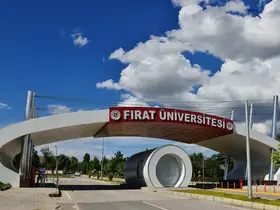 Fırat Üniversitesi’nde patent başvuruları 124’e ulaştı
