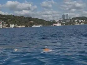 FSM Köprüsü’nden denize atlayan kişiyi vatandaşlar kurtardı
