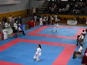 Gaziosmanpaşa’da "Başkanlık Kupası Açık Karate" ile "Masa Tenisi" turnuva heyecanı
