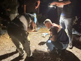 Gazipaşa’da ormanlık alanda kafatası bulundu

