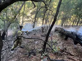 Gece başlayan yangın sabah saatlerinde kontrol altına alındı
