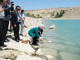Geleneksel göle maya çalma etkinliği ile festival coşkusu başlıyor
