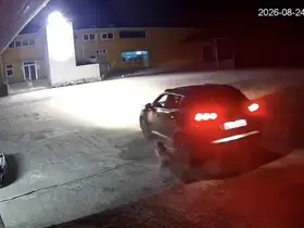 Giresun’da köpeği ezen adam vicdanları yaraladı
